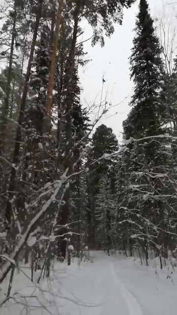 0e4f239f860eca4225d61b345d134757