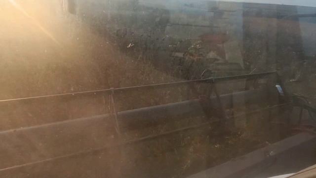 Два комбайна акрос на уборке сои. УБОРОЧНАЯ 2023🚜