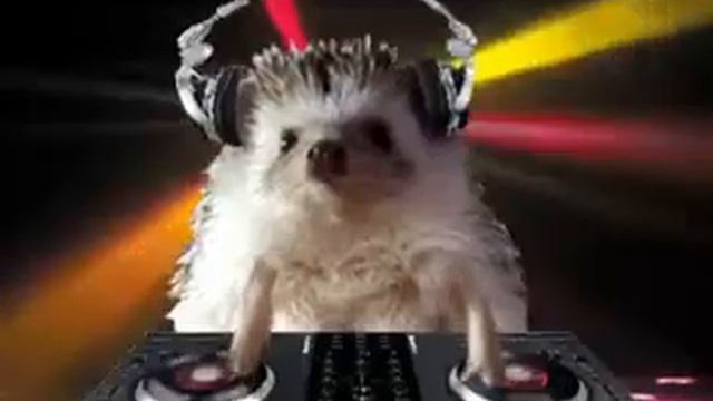 Ёж