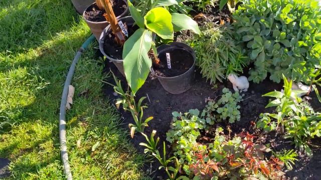 0bb31262feb5dfc5ec13beb3602e391e