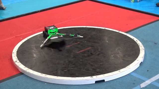 Соревнование роботов сумоистов в Японии