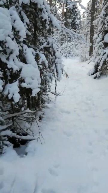 3edc094b37f874ae5410686f22571bf4