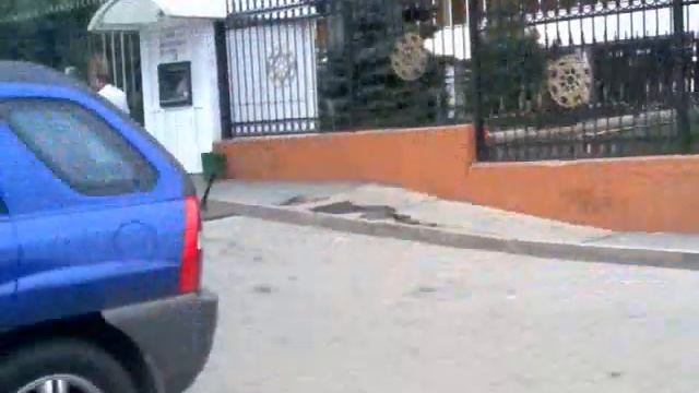 Парковка ценною деревьев (АЛМАТЫ)