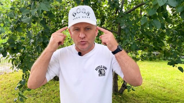 Вся наша жизнь игра