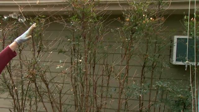 Af64d4acbfd52fd08dc3549f0a4ba025