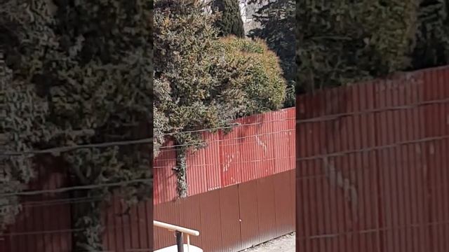 3 апреля 2022 г.