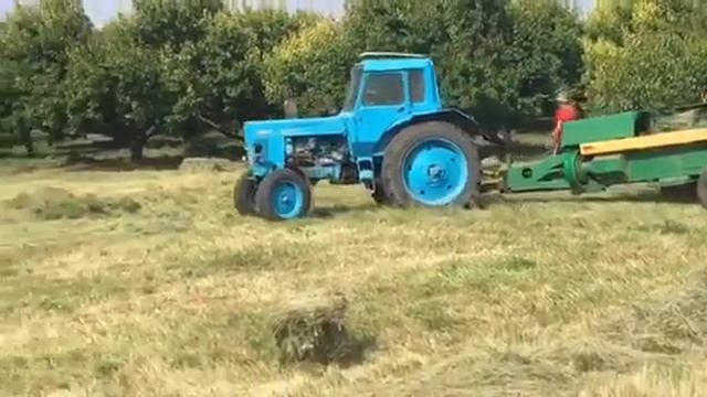 мтз 80 и пресс подборщик фортсчритт к 454