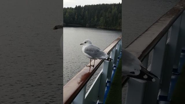 48b0bf54c4073b2b69ccc0e4954c179d