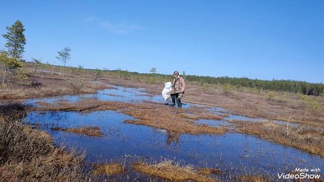 Весна в Архангельской обл.