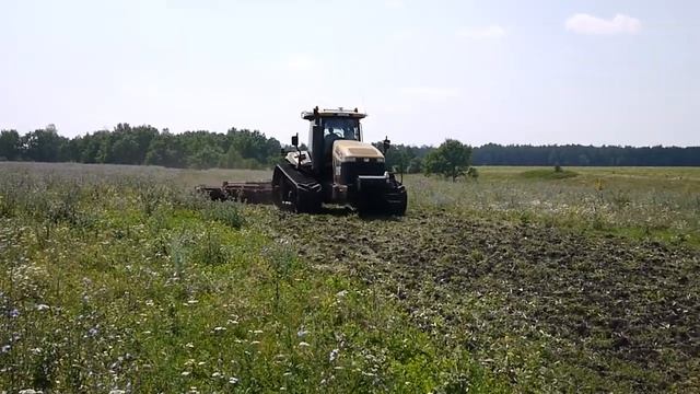 Дискатор БДМ АгроГрад