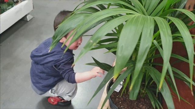 Elijah's Animal Adventures - (Vlog 703)