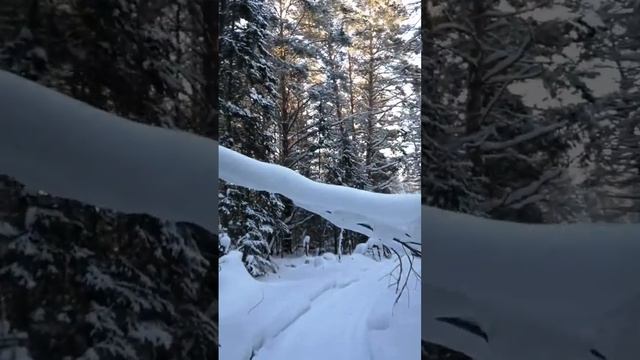 F15e70465c329623aec51b8183ab9349