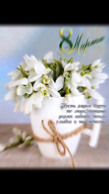 8c6e7b01f4b72a20cb29a51d20714b75