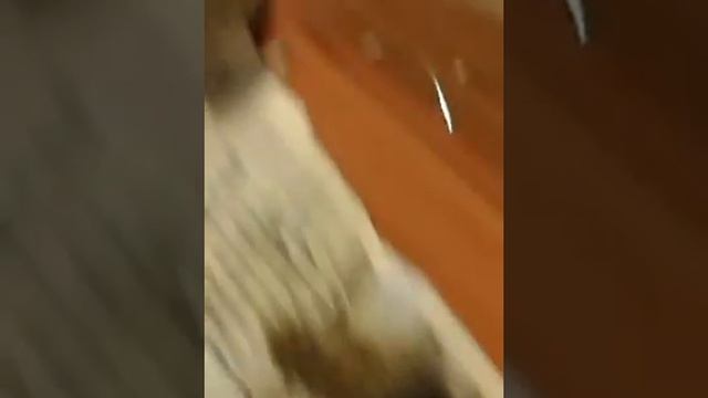 Аааа убегают