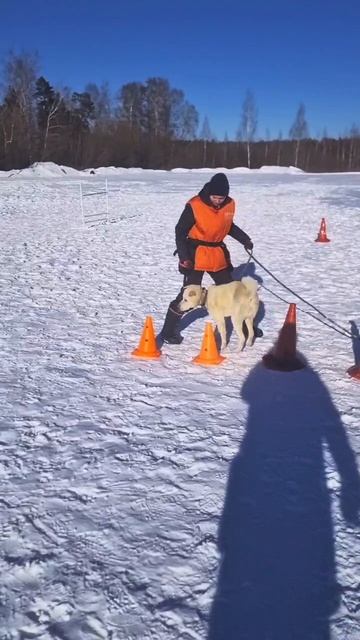 269a80c0b90260856d88297c5602043e