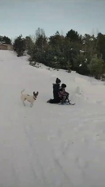 4b6a21b7fd3acbcb681d665d25ca2a01