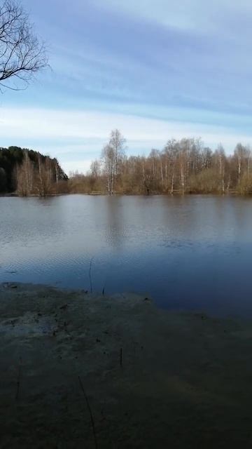 9c5b4f2f4f139155348fbfa967d861fb