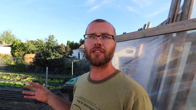 Tomato Season In Review. Successes And Failures.