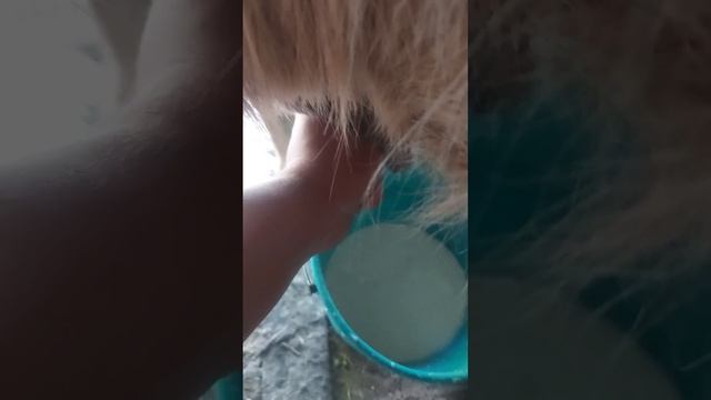 6d1d3b4a2fbe190643e08ba8ca4fcef2