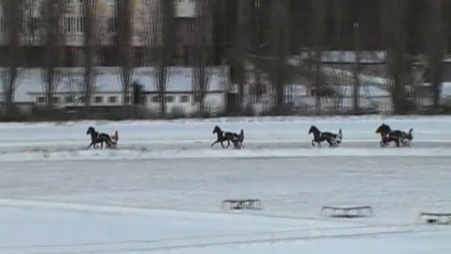 Зимний дистанционный открытый приз (4-х лет), 2011