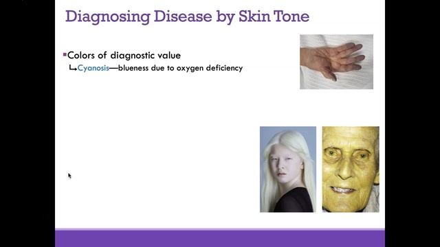 80c801dd5cf748c0fdef91c18135b3e7