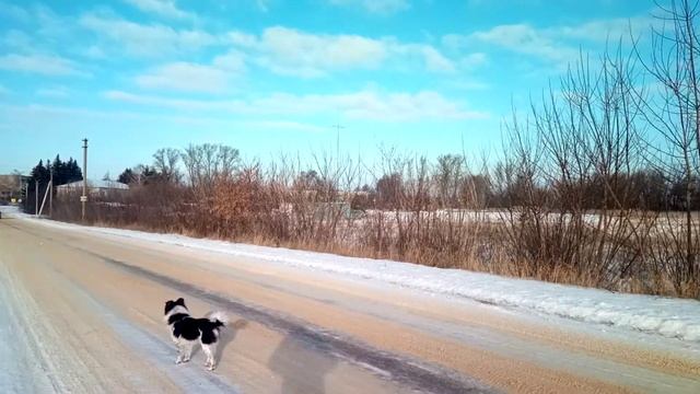 Соседнее село и Махнатка.