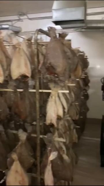 Вот так вялится наш Мурманский Ерш! Видео с производства в Мурманске🐟👍 #азбукасевера