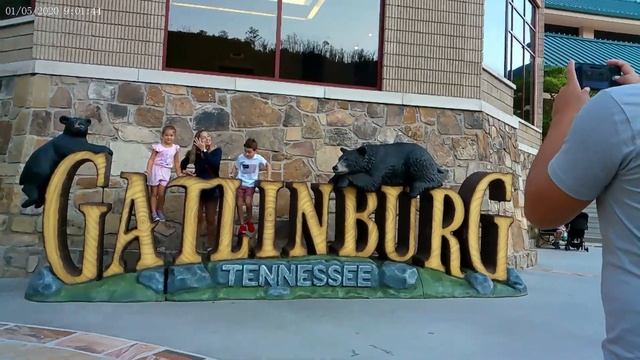 Unbelievable: Bear Roaming Gatlinburg. BEAR GATLINBURG .TH . МЕДВЕДЬ ГОРОДА.