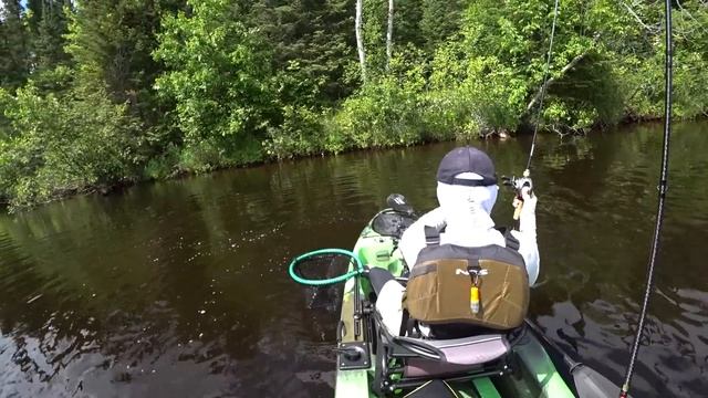 My Go-to River Smallmouth Lures!
