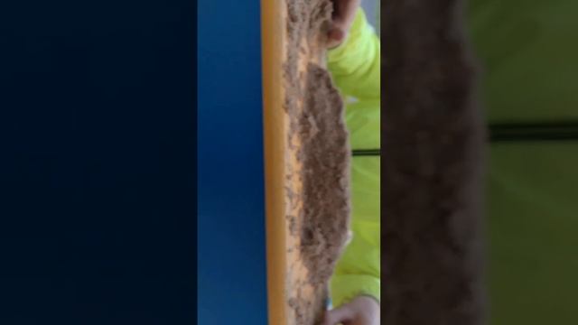 Как легко сделать крокодила из песка