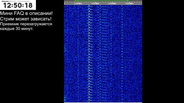 The Goose/Гусь (4310 KHz)