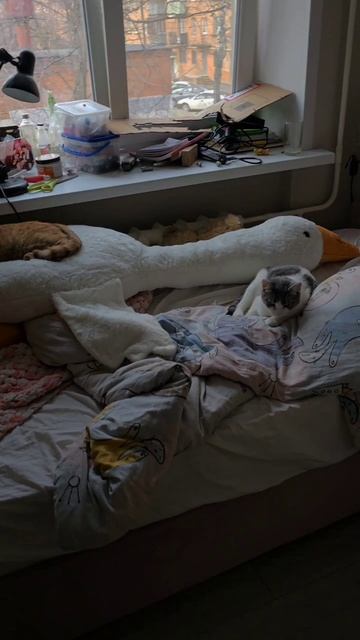 Новости из пи...детской