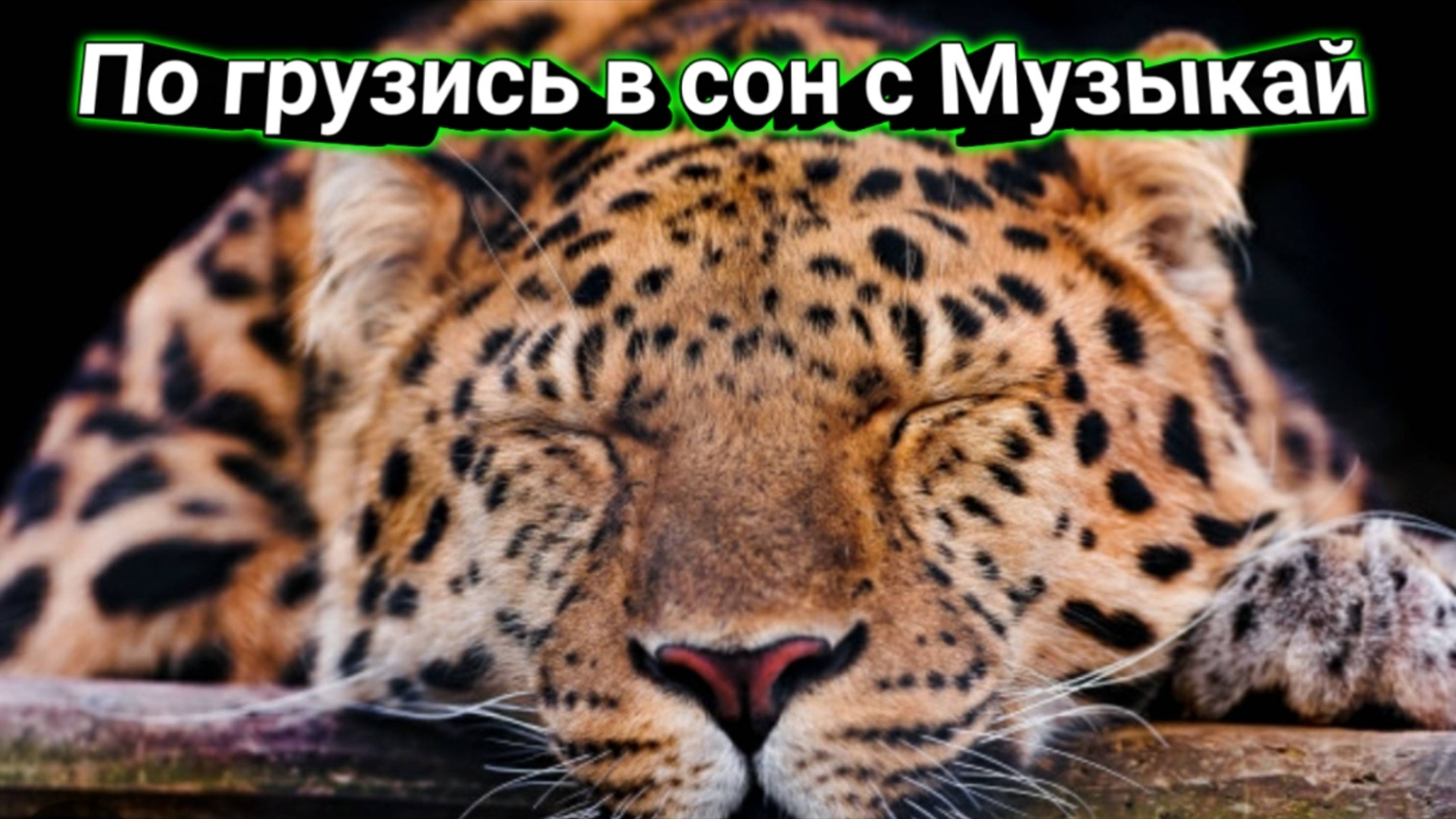 830de5bde373045e127afc4e7bcad279