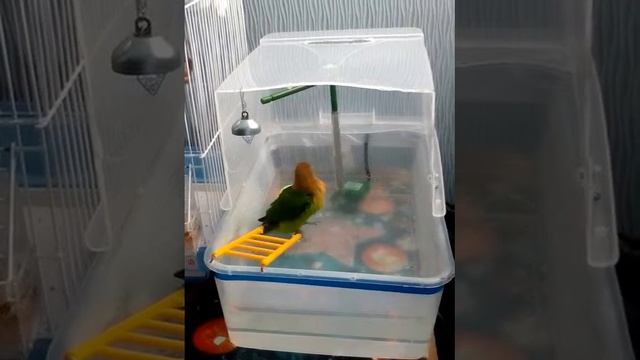 6e13c0322c4775ca6bf48a2a1f95cb9b