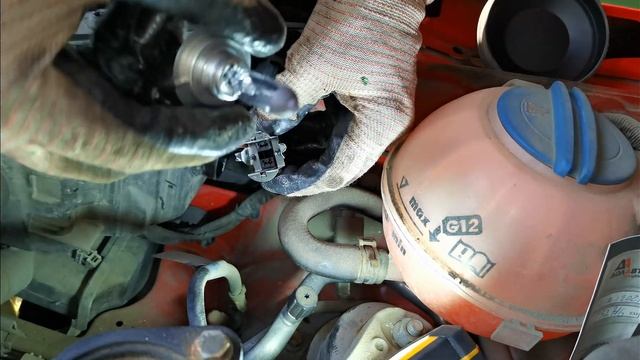 Авторемонтные акулята