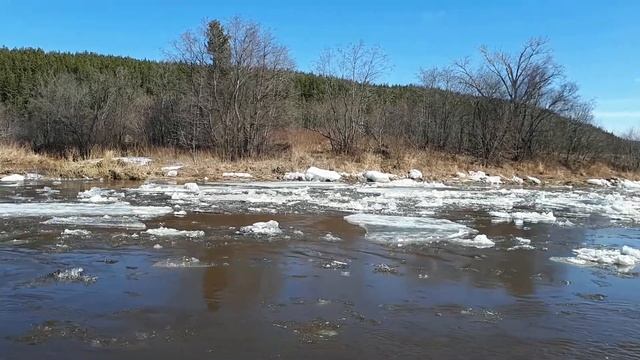 Прощай, ледоход!