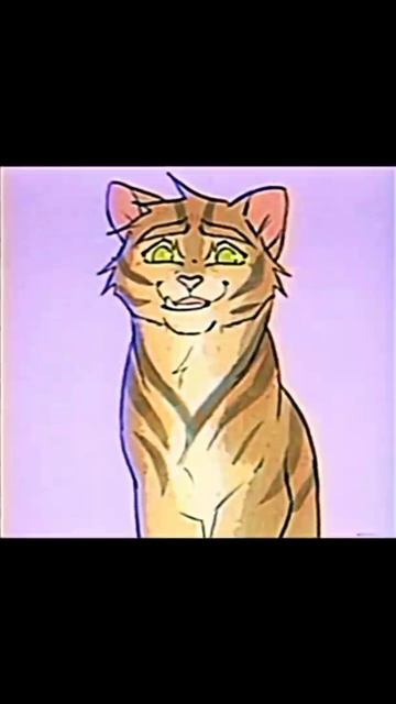 THE LAST FILE (WARRIORS CATS)