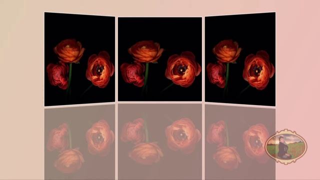 Эффект отражения с модификатором переменное на основе (стили)