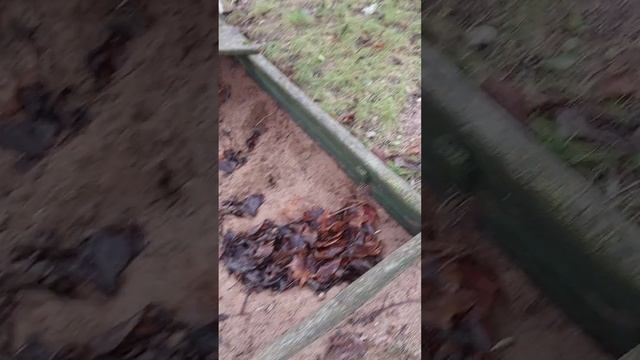 Fa4203c037d745808292e0a7c1bf80b7