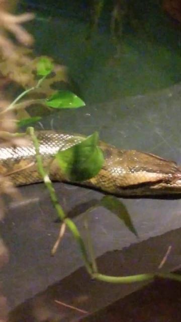 Ff8c88bbbede24d01799b479b6cf0421