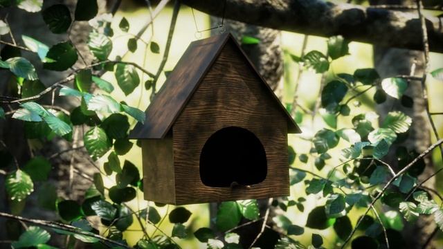 Скворечник не только для скворцов.) Bird House Hotel.)