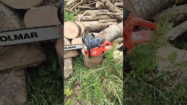 DOLMAR 7910 La Nouvelle Tronçonneuse Des Forest Men #youtubeshorts #chien #bucheron