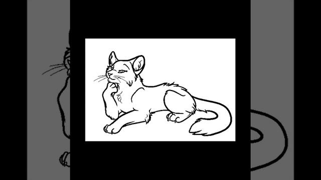 Песня про Бурундука и Шторморезку