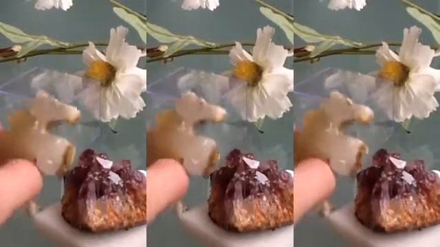 Ee19b8e9bbe60d62b96f8dd95582b2fa