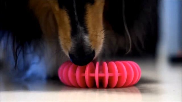 Test Zabawki Comfy Snacky Ring