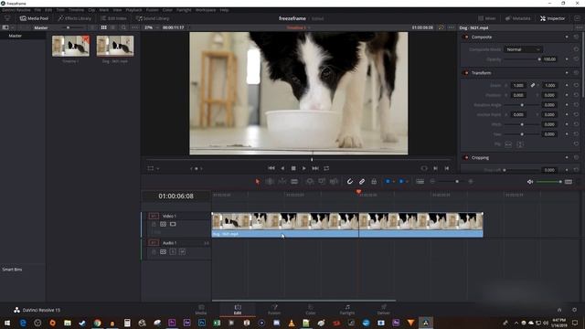 Davinci Resolve : How To Zoom Into Timeline