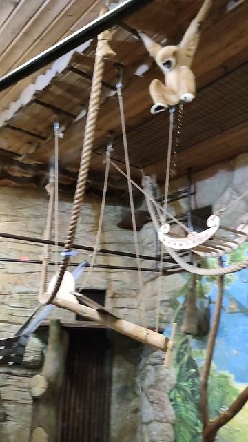 5b82d1a3-89c0-4696-9dcd-d0b9b5b01bf1-1_all_21826.mp4