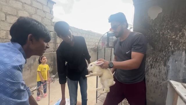 Itne Saare Khargosh Lelie 😍🐰| Rabbit | Mishkat Khan | The Fun Fin