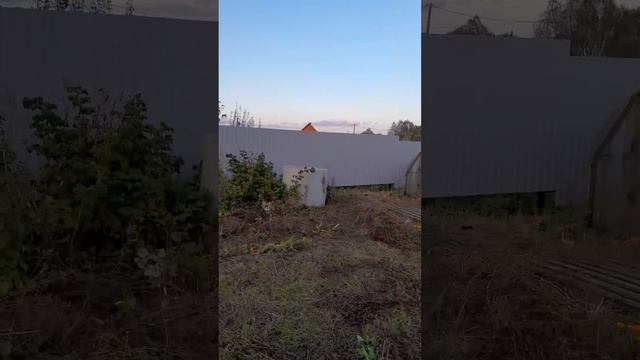 27 сентября 2023 г.