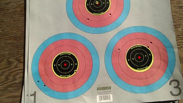 Ruger Mini 14 (Accuracy Report 2) By TheGearTester